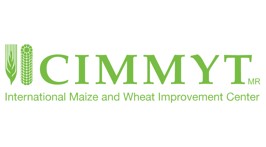 CIMMYT